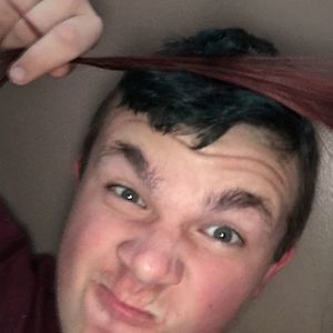 Meet your Posher, Linell